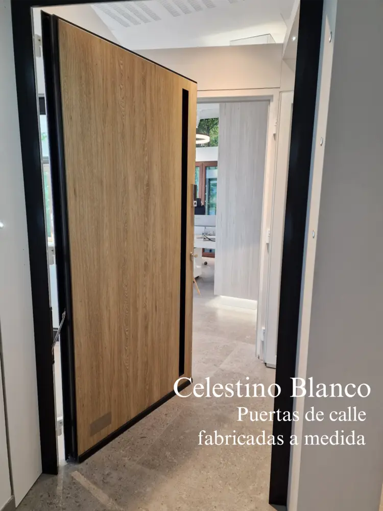 Puertas de calle en Jaén Úbeda y Linares
