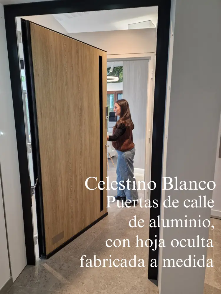 Puertas de calle en Jaén Úbeda y Linares